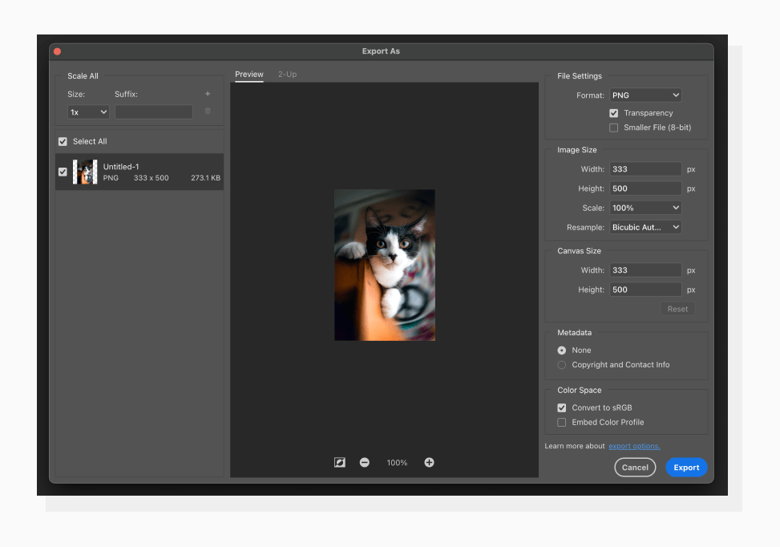 Exporting an image in Photoshop