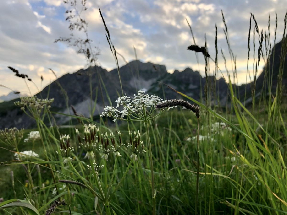 Abenteuer Ausrüstung: Outdoor Must Haves für unterwegs