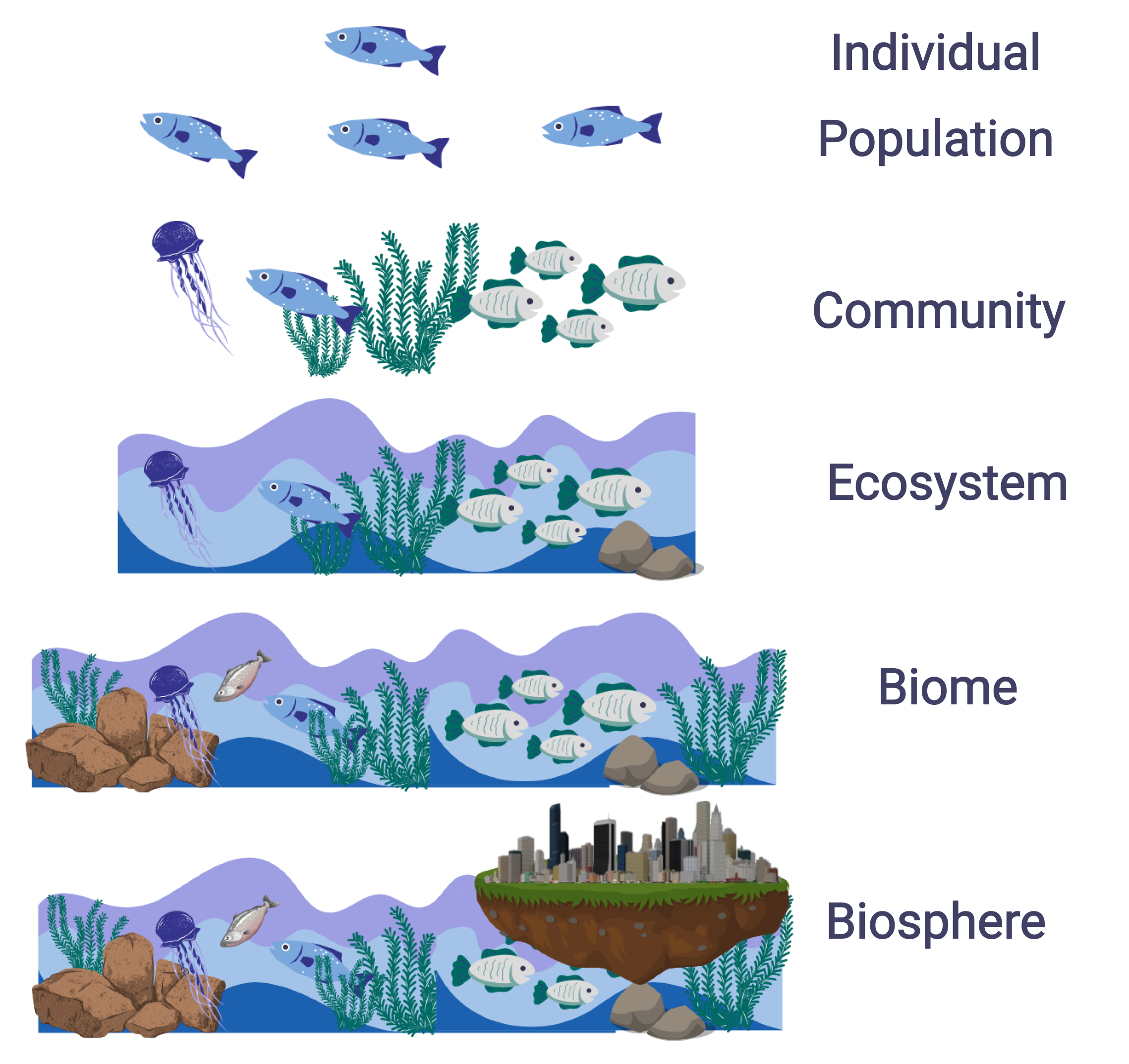 Ecological Community Hyperskill