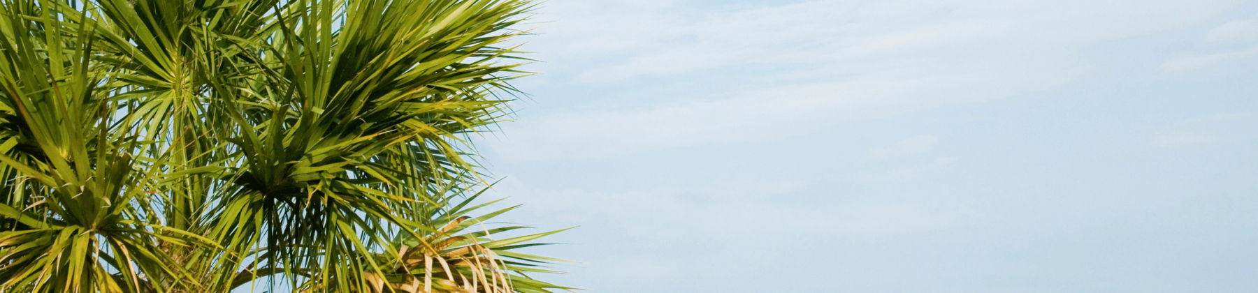 South Carolina skyline