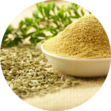 Fennel Seed Extract