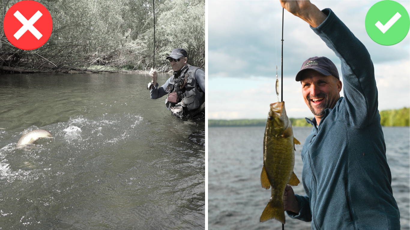 Fewer fish lost at the boat.