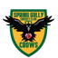 Spring Gully Cricket Club logo