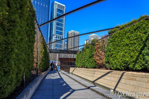 День в Чикаго: архитектура и панорама города
