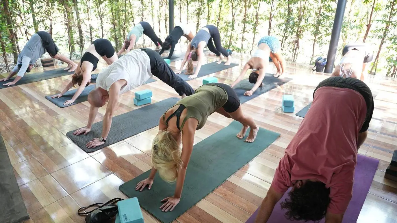 Yoga Pass: 30 Class