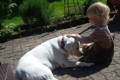 Unser kleiner Jakob mit Labrador Welpe Greta