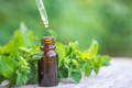 Peppermint Oil for Nerve Pain