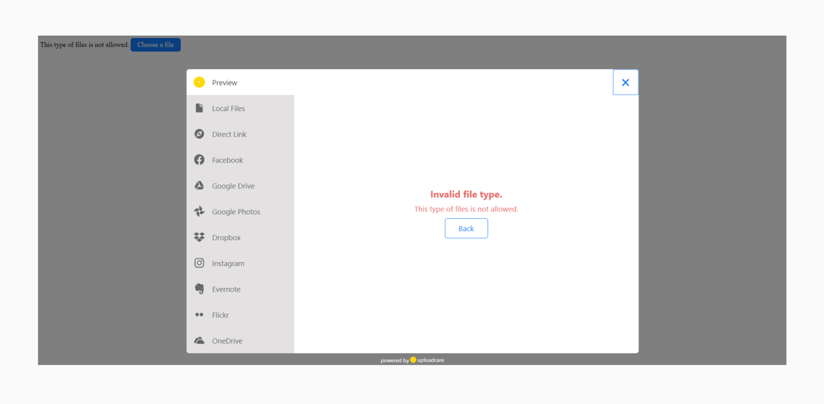 Uploadcare File Upload Widget displaying custom message