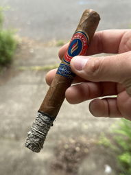 Nice ash