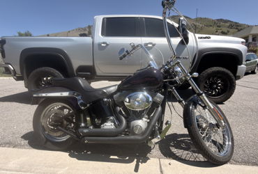 2007 HARLEY-DAVIDSON FXST SOFTAIL STANDARD (LUX COLORS) motorcycle for rent near LOGAN, UT
