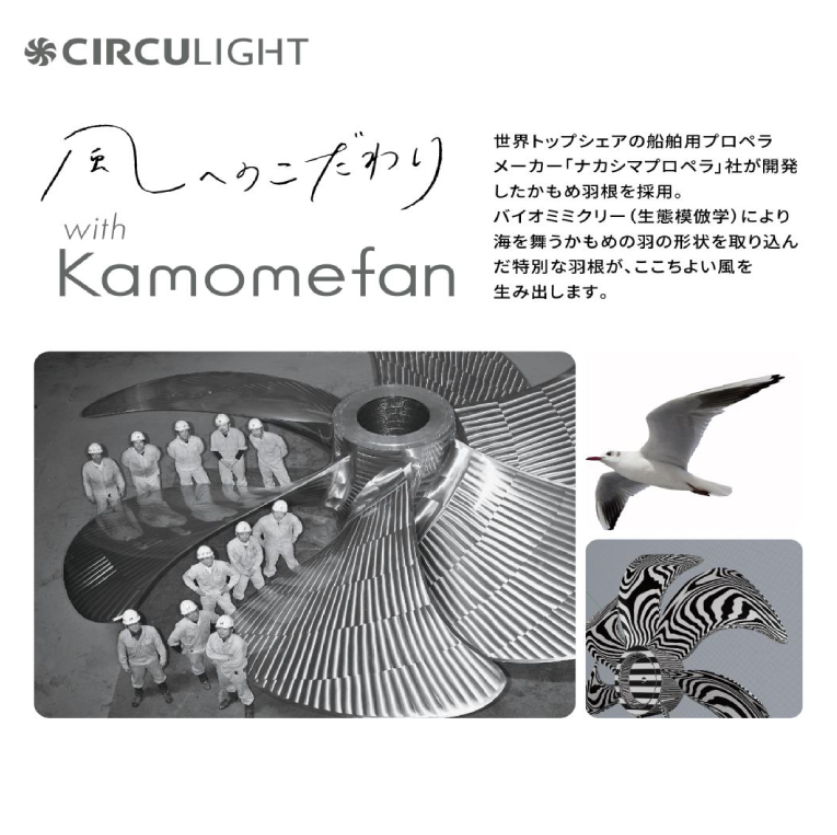 風へのこだわり