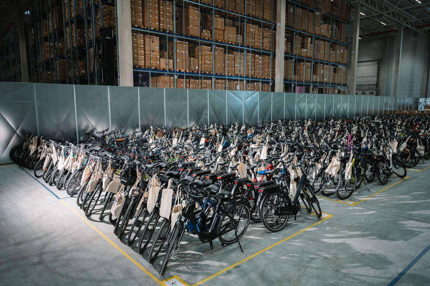 mountain bike elettrica