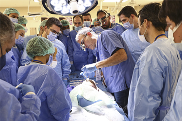 Teorhinoplasty Cadaver Workshop in Dubai by Dr Teoman Dogan