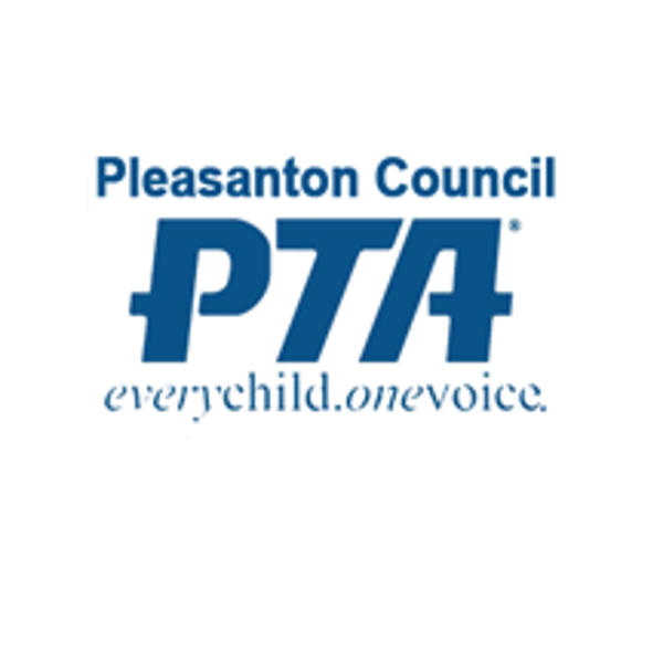 Pleasanton Council