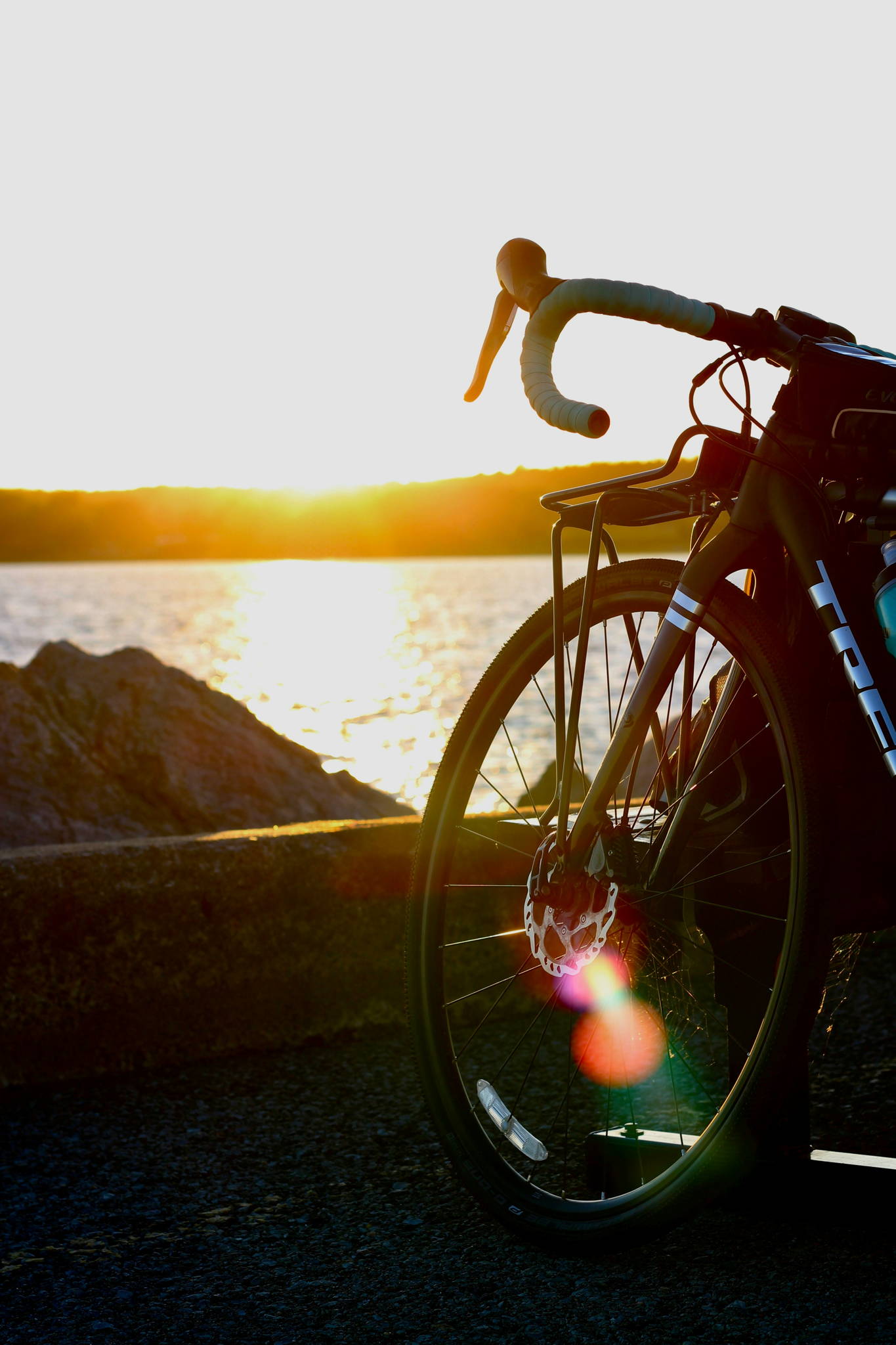 mountain bike elettrica