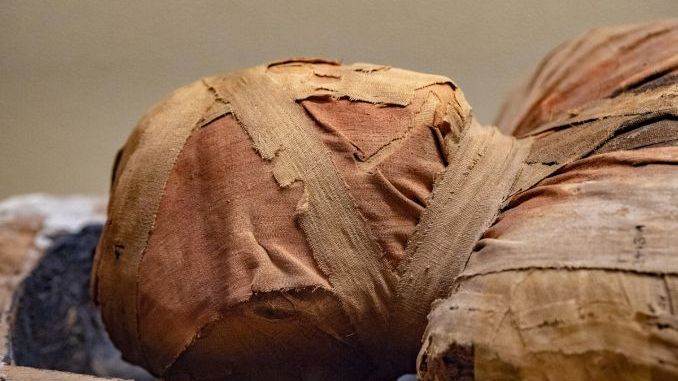 Egyptian Mummy