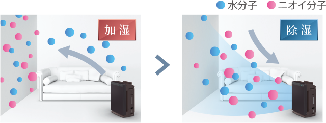 水de(で)脱臭◎水溶性のニオイ成分に効果を発揮します