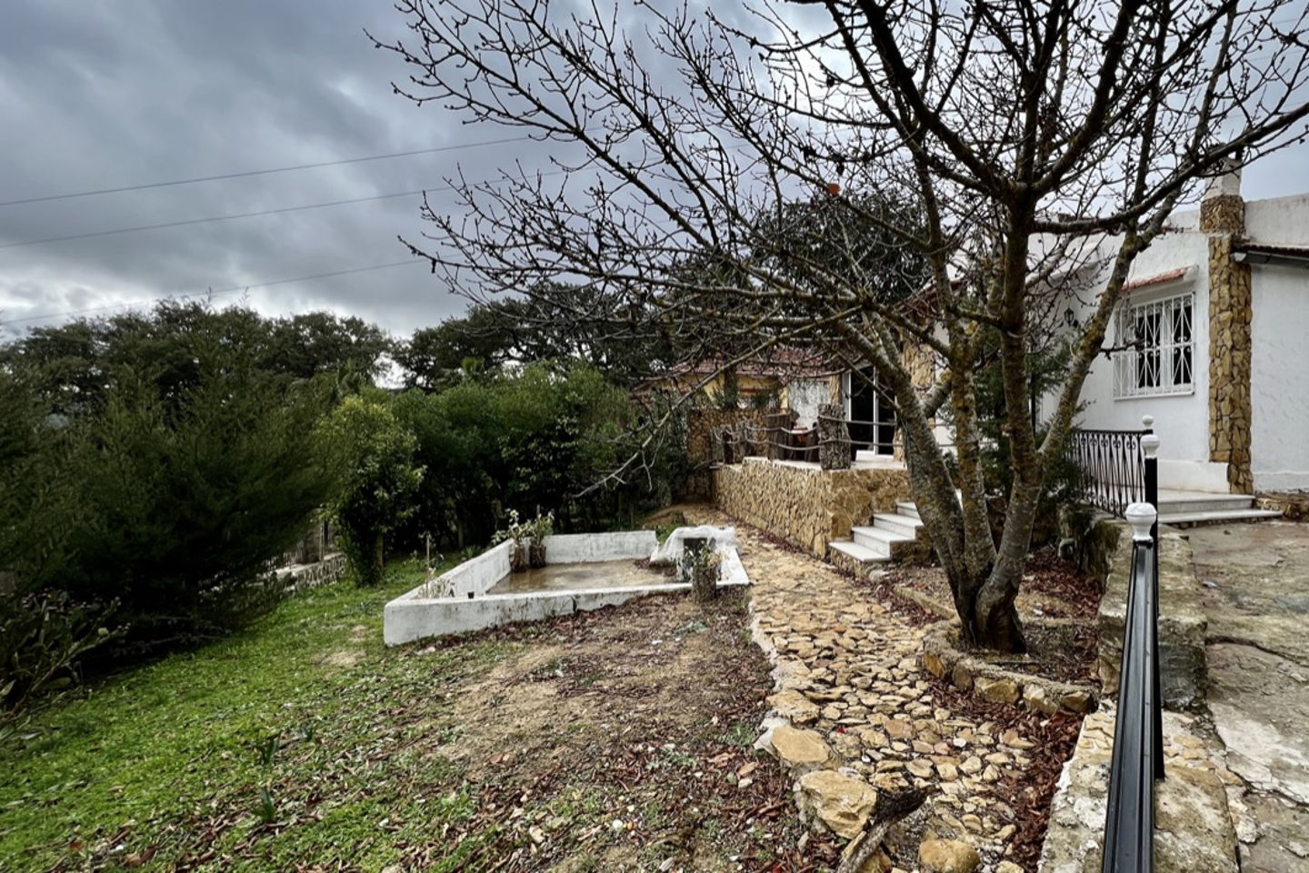 slider-image