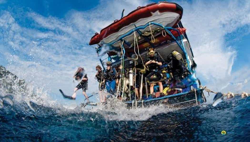 Diving in Alanya - photo 3