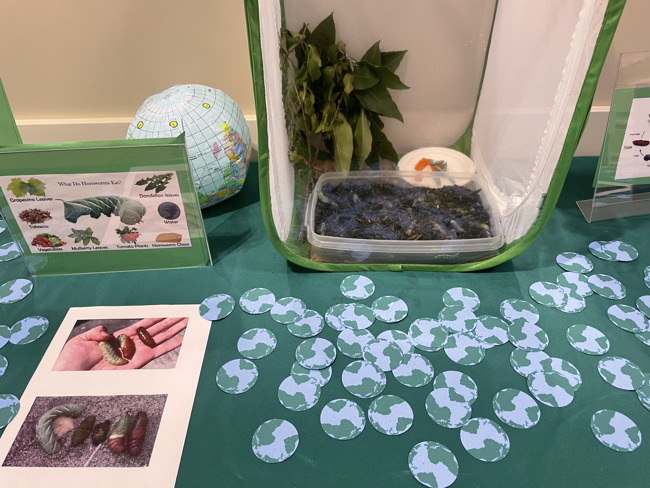 earth day celebration table 