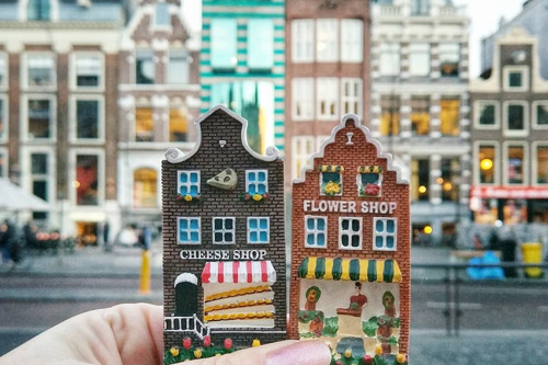 Обзорная экскурсия по Амстердаму