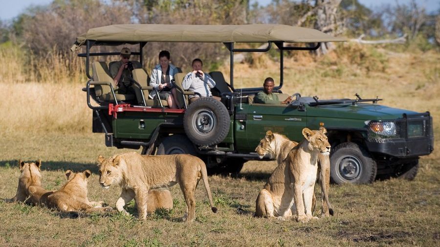 8 Day Best of Zambia & Botswana Safaris