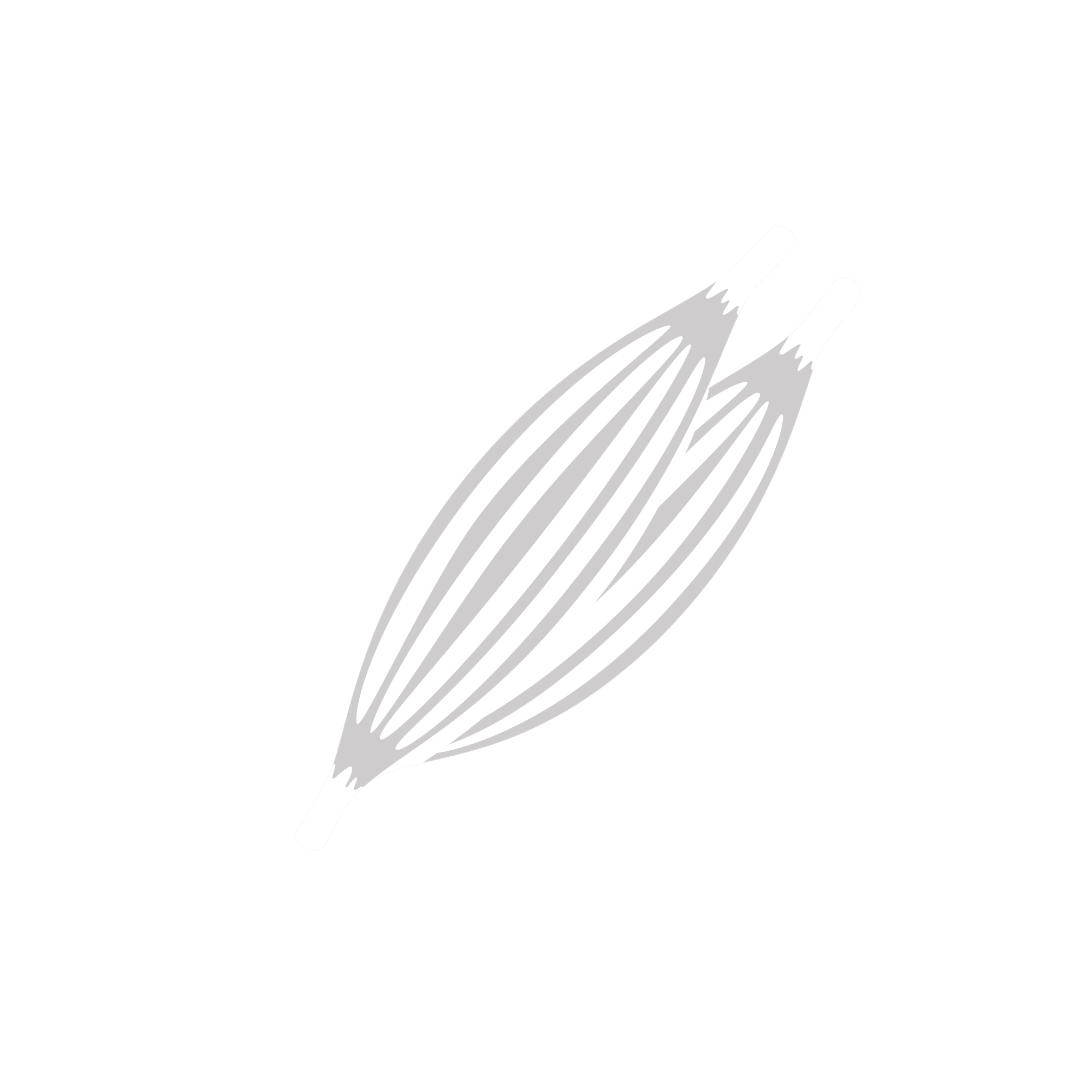 benefits of taking nano singapore's K2 Vitamin with D3 for Bone and Heart Health Supplement