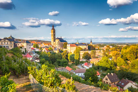 Bone Church and Kutna Hora Private Tour from Prague