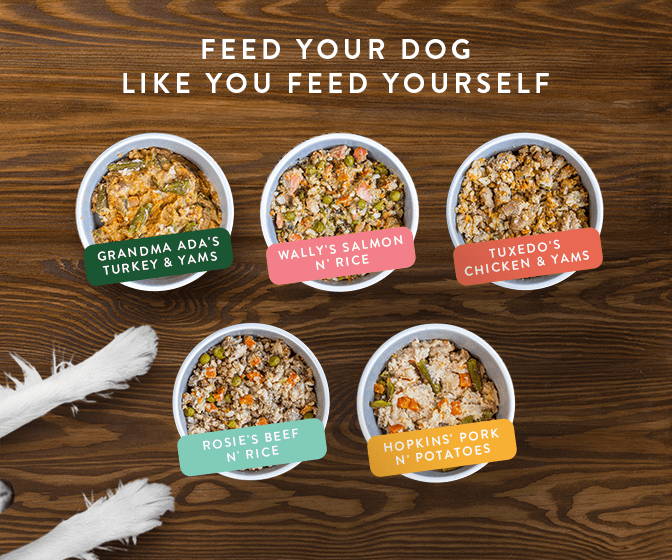 Portland Pet Food Company's full lineup of human-grade meals and meal mixers made for senior dogs.