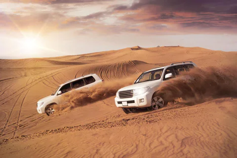From Dubai Safari: Desert Thrills & BBQ Feast