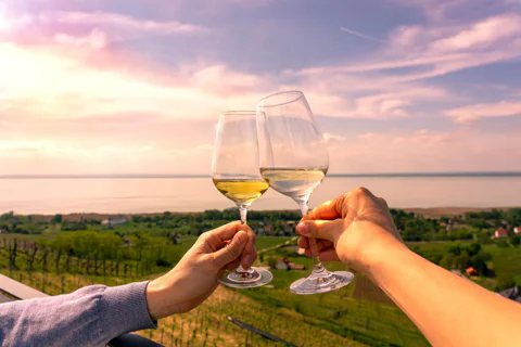 Private Full Day Lake Balaton tour with lunch, wine tasting and ferry