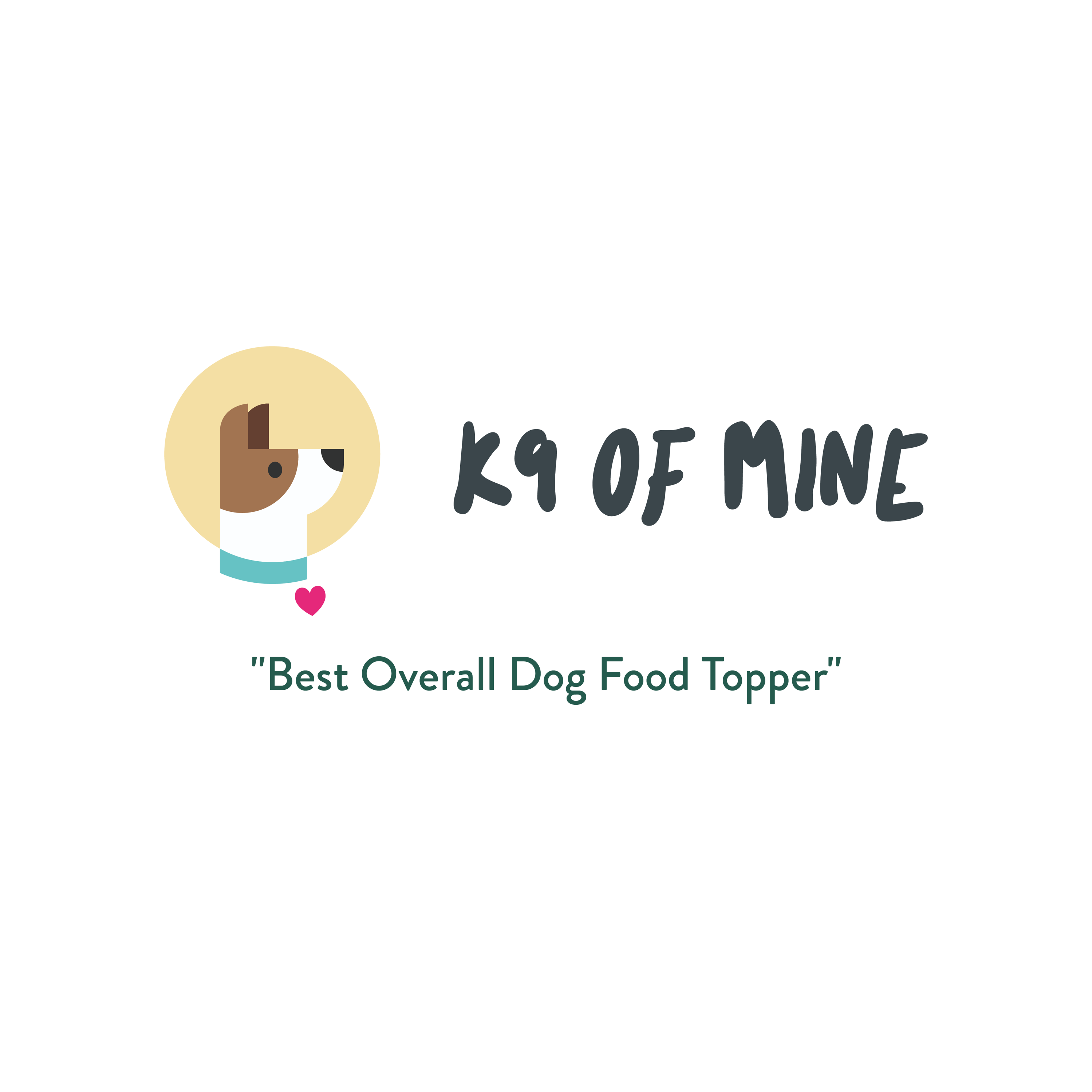 Considered the Best Overall Dog Food Topper by K9ofmine.com