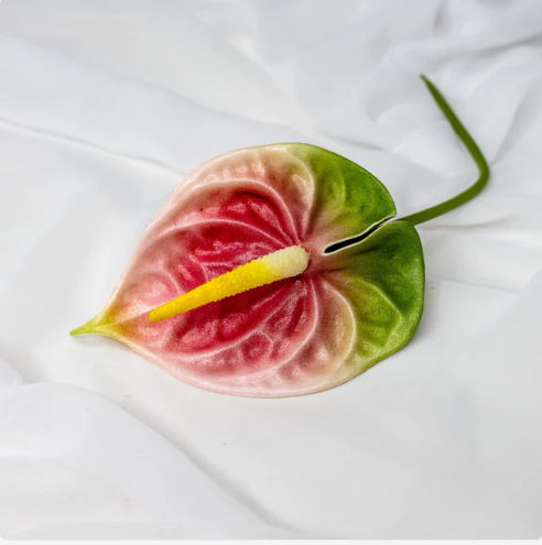 Pink/Green Small Anthurium - Realistic Artificial Flowers (Pack of 12 Stems) - Image 3