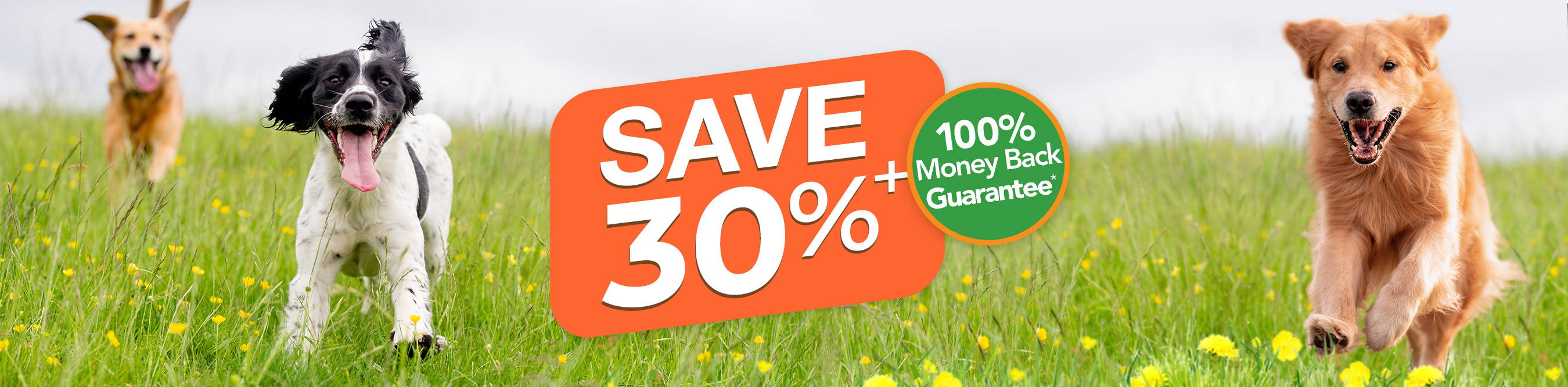 Rose-Hip Vital Canine 500g | Introductory Offer