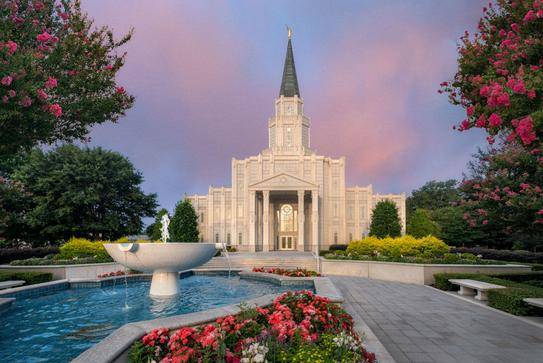 Houston Temple surrounded by pink flowers and a blue reflection pool. 