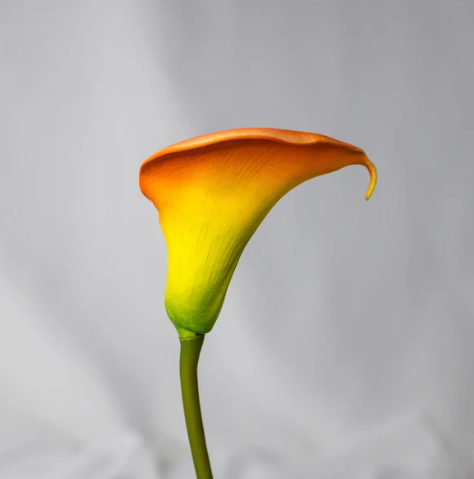 Orange Buttonhole Calla Lily - Realistic Artificial Flowers - Image 2