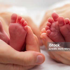 Grow our Family Fund- since we have to use a little science