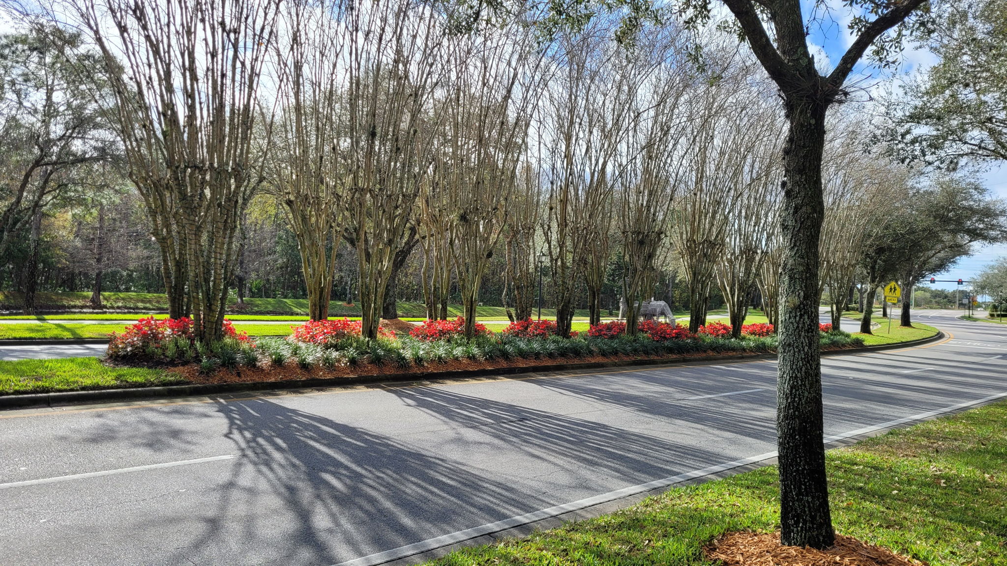 Properties En Venta in Avalon Park