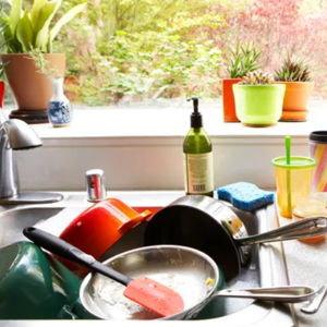 Dishwasher Fund