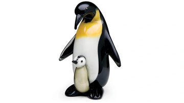 Main Content Image