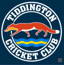 Tiddington Cricket Club logo
