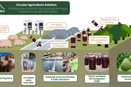 Combing manure treatment and sustainable farming as integrated circular agriculture system