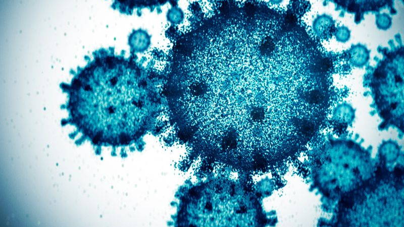 IA virus