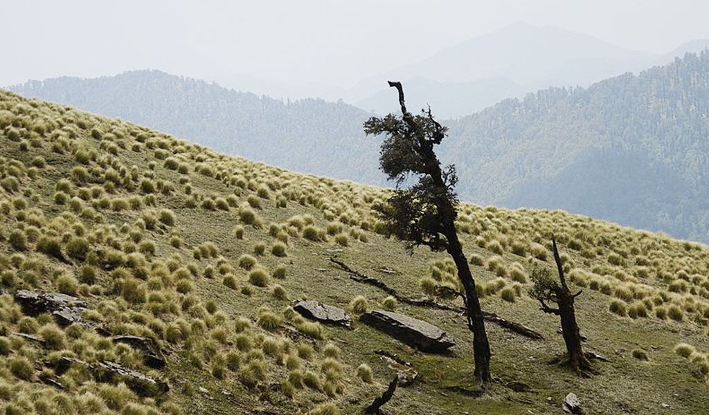 Kedarnath-Wildlife-Sanctuary.jpg