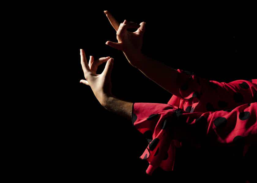  Flamenco Show at City Hall Theater - photo 6