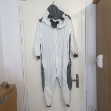 Onesie
