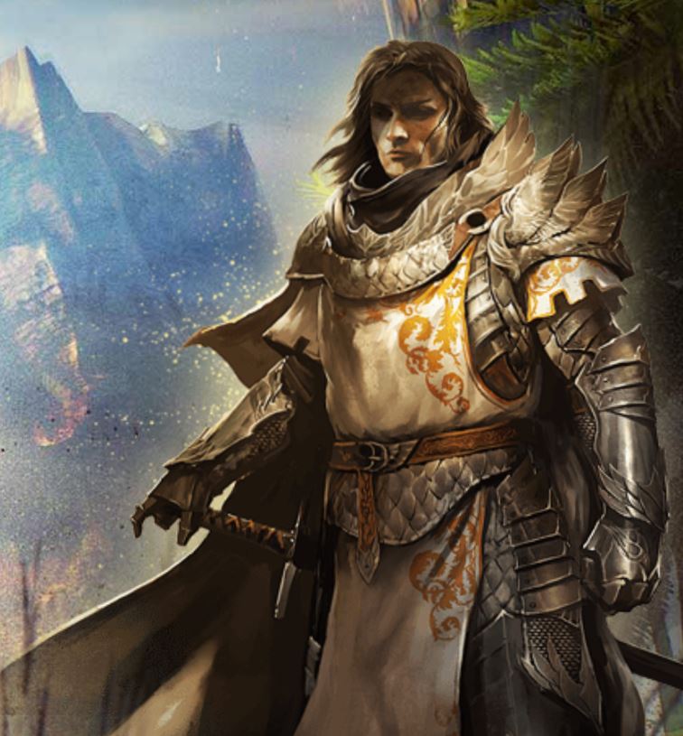 ArenaNet product / service