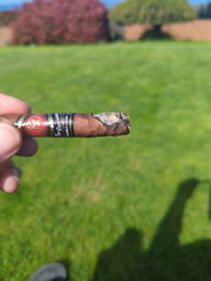 Cigar Session Photo