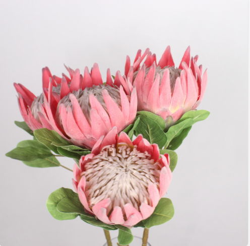 King Protea - Realistic Artificial Flowers