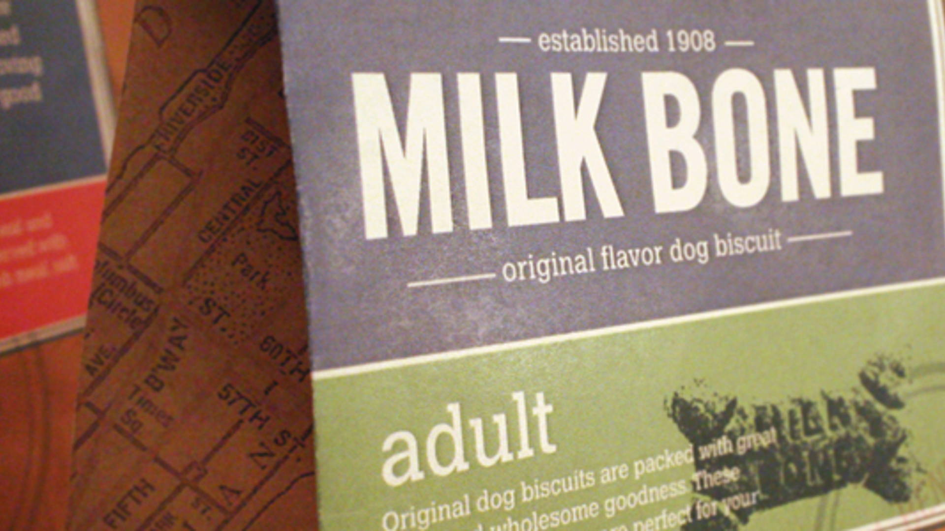 Featured image for Student Spotlight: Milk Bone